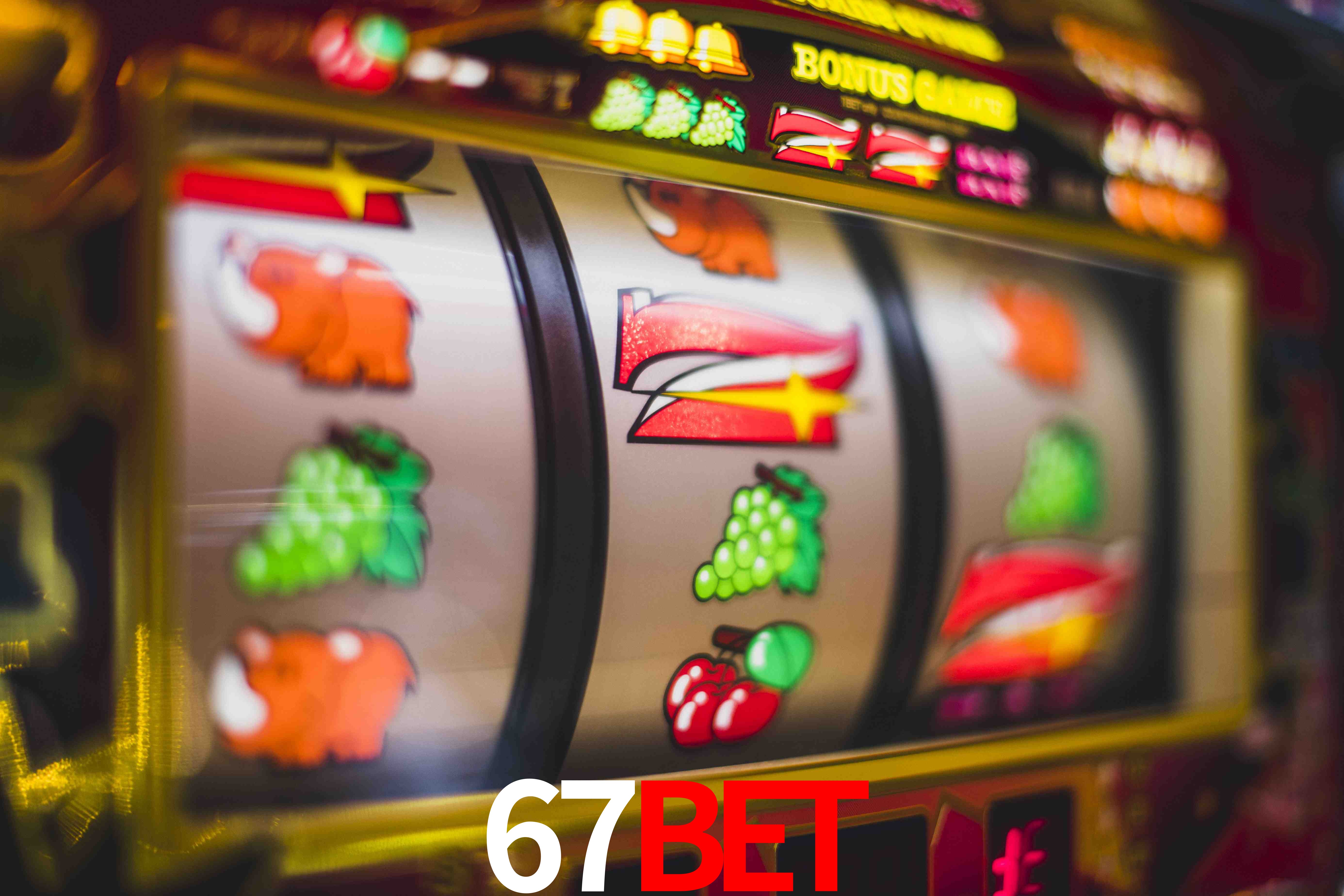 Crash Games Statistics 67bet